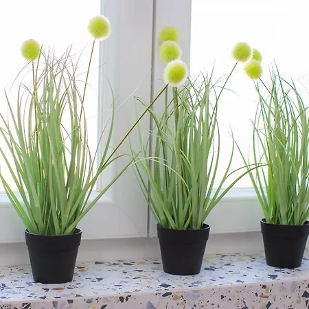 Marela Appartement Split