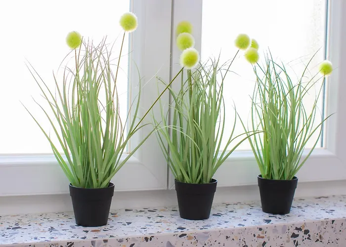 Marela Lejlighed Split